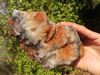 Natural Rare Bladed Barite Specimen  x 1 From Congo