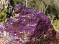 Natural Metallic Purpurite Cobbed Specimens  x 6 From Erongo, Namibia - Toprock Gemstones and Minerals 