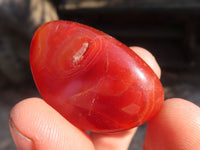 Polished  Individually Made Carnelian Agate Tumble Stones  x 1 Kg Lot From Madagascar