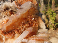 Natural Rare Bladed Barite Specimen  x 1 From Congo