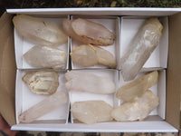 Natural Large Single Clear Quartz Crystals  x 10 From Madagascar - TopRock