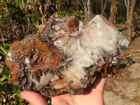 Natural Rare Bladed Barite Specimen  x 1 From Congo