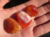 Polished  Individually Made Carnelian Agate Tumble Stones  x 1 Kg Lot From Madagascar