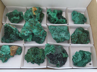 Natural Chatoyant Silky Malachite Specimens  x 12 From Kasompe, Congo - Toprock Gemstones and Minerals 