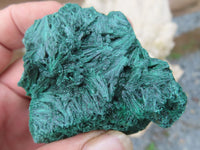 Natural Chatoyant Silky Malachite Specimens  x 12 From Kasompe, Congo - Toprock Gemstones and Minerals 