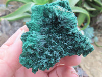 Natural Chatoyant Silky Malachite Specimens  x 12 From Kasompe, Congo - Toprock Gemstones and Minerals 