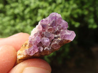 Natural Mixed Mini Spirit Quartz Crystals  x 75 From Boekenhouthoek, South Africa - TopRock