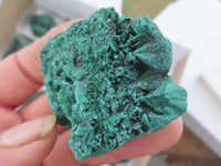 Natural Chatoyant Silky Malachite Specimens  x 12 From Kasompe, Congo - Toprock Gemstones and Minerals 