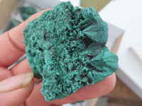 Natural Chatoyant Silky Malachite Specimens  x 12 From Kasompe, Congo - Toprock Gemstones and Minerals 