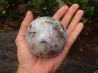 Polished Groovy Agate Spheres  x 2 From Madagascar - Toprock Gemstones and Minerals 