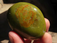 Polished Green Opal Palm Stones  x 12 From Antsirabe, Madagascar - Toprock Gemstones and Minerals 