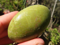 Polished Green Opal Palm Stones  x 12 From Antsirabe, Madagascar - Toprock Gemstones and Minerals 