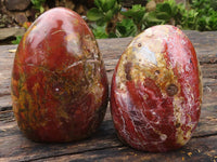 Polished Red Jasper Standing Free Forms  x 2 From Madagascar - Toprock Gemstones and Minerals 