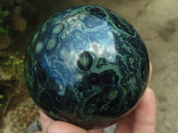 Polished Stromatolite / Kambamba Jasper Spheres  x 2 From Madagascar - Toprock Gemstones and Minerals 