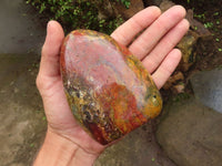 Polished Red Jasper Standing Free Forms  x 2 From Madagascar - Toprock Gemstones and Minerals 