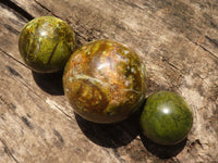 Polished Green & Yellow Opal Spheres  x 3 From Madagascar - TopRock