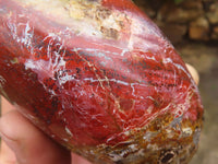 Polished Red Jasper Standing Free Forms  x 2 From Madagascar - Toprock Gemstones and Minerals 