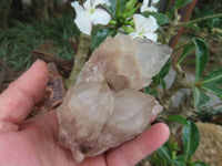 Natural Clear Cascading White Phantom Quartz Clusters  x 3 From Luena, Congo - Toprock Gemstones and Minerals 