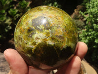 Polished Green & Yellow Opal Spheres  x 3 From Madagascar - TopRock