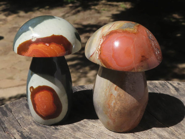 Polished Polychrome / Picasso Jasper Mushrooms  x 6 From Madagascar - TopRock