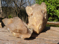 Natural Cascading Smokey Quartz Clusters x 2 From Luena, Congo