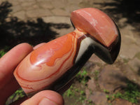 Polished Polychrome / Picasso Jasper Mushrooms  x 6 From Madagascar - TopRock