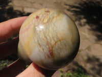 Polished Polychrome / Picasso Jasper Mushrooms  x 6 From Madagascar - TopRock