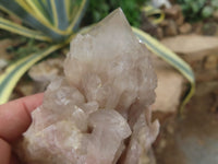 Natural Clear Cascading White Phantom Quartz Clusters  x 3 From Luena, Congo - Toprock Gemstones and Minerals 