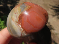 Polished Polychrome / Picasso Jasper Mushrooms  x 6 From Madagascar - TopRock