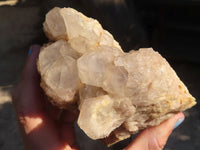 Natural Cascading Smokey Quartz Clusters x 2 From Luena, Congo