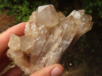 Natural Cascading White Phantom Smokey Quartz Clusters  x 6 From Luena, Congo - Toprock Gemstones and Minerals 