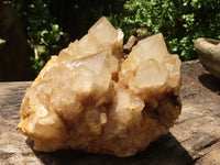 Natural Cascading White Phantom Smokey Quartz Cluster  x 1 From Luena, Congo - TopRock