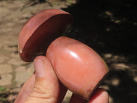 Polished Polychrome / Picasso Jasper Mushrooms  x 6 From Madagascar - TopRock