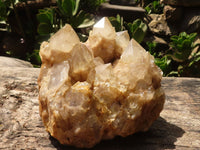 Natural Cascading White Phantom Smokey Quartz Cluster  x 1 From Luena, Congo - TopRock