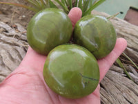 Polished Green Opal Palm Stones  x 12 From Madagascar - Toprock Gemstones and Minerals 