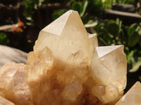 Natural Cascading White Phantom Smokey Quartz Cluster  x 1 From Luena, Congo - TopRock