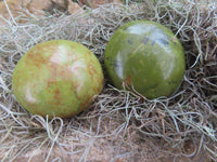 Polished Green Opal Palm Stones  x 12 From Madagascar - Toprock Gemstones and Minerals 