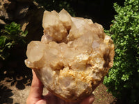 Natural Cascading White Phantom Smokey Quartz Cluster  x 1 From Luena, Congo - TopRock