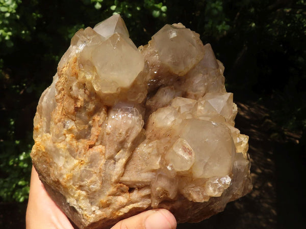 Natural Cascading White Phantom Smokey Quartz Cluster  x 1 From Luena, Congo - TopRock