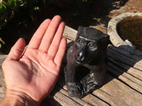 Polished  Black Soapstone Baboon Carving x 1 From Zimbabwe