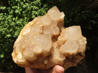 Natural Cascading White Phantom Smokey Quartz Cluster  x 1 From Luena, Congo - TopRock