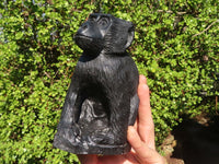 Polished  Black Soapstone Baboon Carving x 1 From Zimbabwe