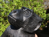 Polished  Black Soapstone Baboon Carving x 1 From Zimbabwe