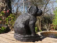 Polished  Black Soapstone Baboon Carving x 1 From Zimbabwe