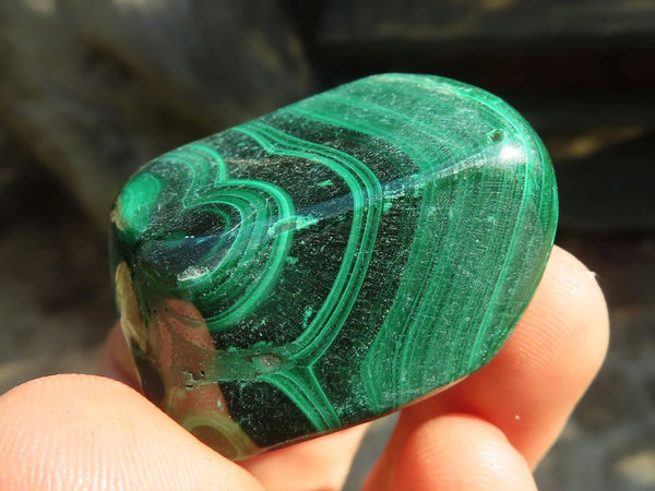 Polished  Flower Banded Malachite Free Forms  x 20 From Congo