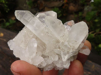 Natural Small Clear Quartz Clusters  x 12 From Mpika, Zambia - Toprock Gemstones and Minerals 