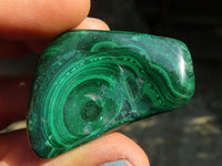 Polished  Flower Banded Malachite Free Forms  x 20 From Congo