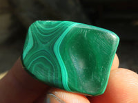 Polished  Flower Banded Malachite Free Forms  x 20 From Congo