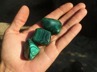 Polished  Flower Banded Malachite Free Forms  x 20 From Congo