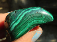 Polished  Flower Banded Malachite Free Forms  x 20 From Congo